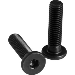 1PCS LOW PROFILE SCREW M5*35MM