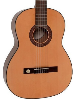 Gewa VGS Pro Arte GC210-A 4/4
