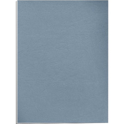 Χαρτονάκι Α4 δέρμα 250gr 1φ wedgwood blue