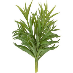 Τεχνητό Φυτό Succelent PT3650 58.4x54.2cm Green Present Time Πλαστικό