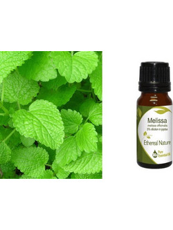 Αιθέριο έλαιο - Μελισσόχορτο 5% σε jojoba 10ml