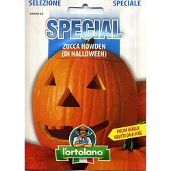 ΚΟΛΟΚΥΘΑ HALLOWEEN