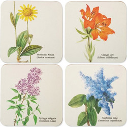 Σετ 4 Σουβέρ BOTANICAL Wild flowers by Kokonote