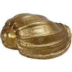 Διακοσμητικό Κοχύλι MT2733K6 7x4,2x3cm Gold Espiel Πολυρεσίνη