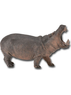 Collecta Ιπποπόταμος 88833