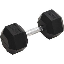 vidaXL 93608 Εξάγωνος Αλτήρας 20kg