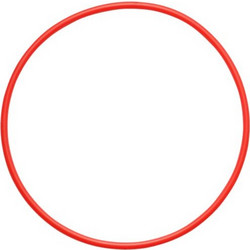 Olympus POL-058 O-ring for PT-058 / PT-059