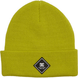 DC LABEL BEANIE APPLE GREEN
