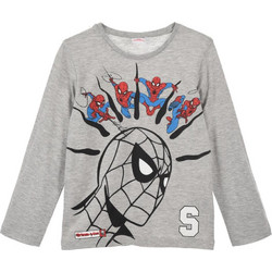 Action Spider-Man Παιδικό T-Shirt Μακρυμάνικο Γκρι HW1208