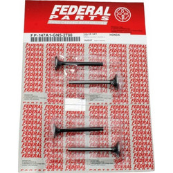 ΒΑΛΒΙΔΕΣ ΣΕΤ C100 FEDERAL