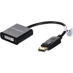 Lanberg AD-0007-BK video cable adapter 0.1 m DisplayPort DVI-D Black