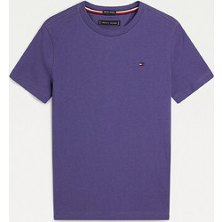 Tommy Hilfiger Παιδικό T-Shirt Κοντομάνικο Μωβ KB0KB06879-C8I