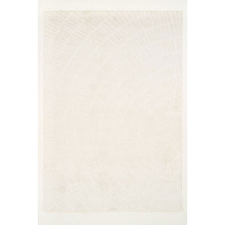 Χαλί Pavia F045A3R Cream Ezzo 80X150cm