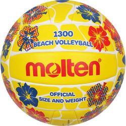 Molten beach volleyball