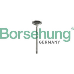 Borsehung B10343
