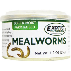 Canned Mealworms