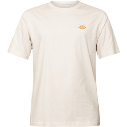 Dickies SS MAPLETON TEE Εκρού