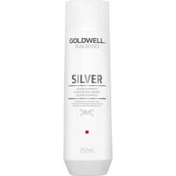 Goldwell Dualsenses Silver Σαμπουάν για Προστασία Χρώματος για Βαμμένα Μαλλιά 250ml