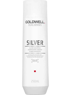Goldwell Dualsenses Silver Σαμπουάν για Προστασία Χρώματος για Βαμμένα Μαλλιά 250ml