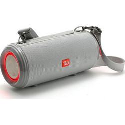 T&G TG-537 Αδιάβροχο Ηχείο Bluetooth 10W με Ραδιόφωνο Ασημί