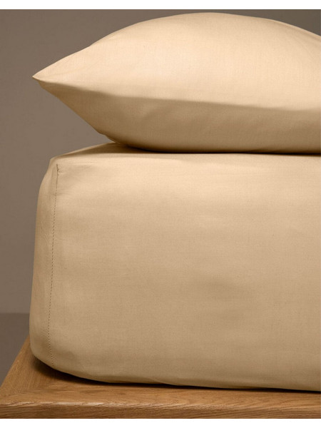 Sunshine Home Σεντόνι Μονό Βαμβακερό με Λάστιχο 100x200+20 Menta 22 Sand
