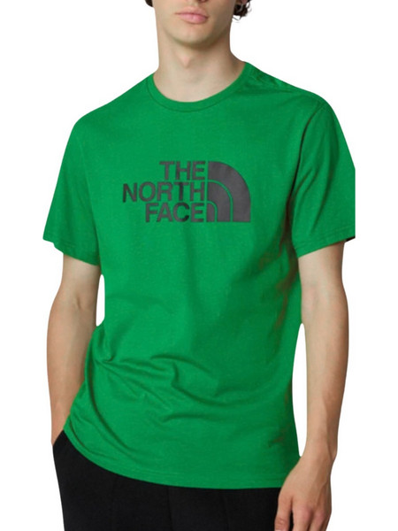 The North Face Ανδρικό T-Shirt NF0A87N5PO81 Πράσινο