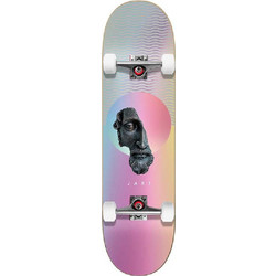 Jart Skateboards Sculptural 8.0