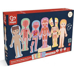Hape Μαγνητικό Παζλ Ανθρώπινο Σώμα E1652