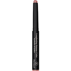 Dermacol Longlasting 10 Σκιά Ματιών Matte Stick