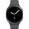 Samsung Galaxy Watch 8 44mm Graphite Samsung Galaxy Watch 8 44mm Graphite