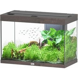 Aquatlantis Aquatlantis Splendid 80 Ενυδρείο Ψαριών με Φωτισμό, Θερμαντήρα & Φίλτρο 146lt Γκρι