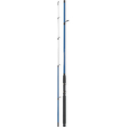 Robinson Magnetic Boat Spin Καλάμι Ψαρέματος για Spinning Δίσπαστο 1.8m 10-40gr