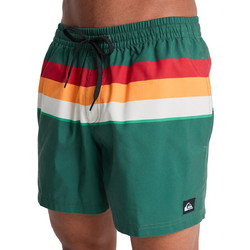 Quiksilver Everyday Volley 15'' Ανδρικό Μαγιό Σορτς Πράσινο EQYJV04219-GRT6