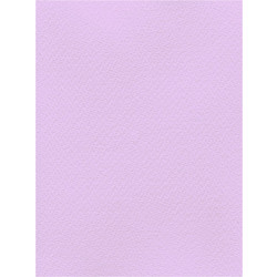 Favini Χαρτόνι Κανσόν Λιλά 50x70cm 831.5070.24T
