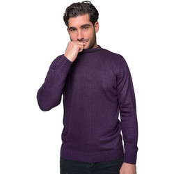 Ben Tailor Ανδρικό Πουλόβερ Μωβ BENT.0655
