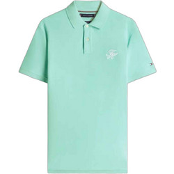 Tommy Hilfiger Ανδρική Μπλούζα Polo Κοντομάνικη Τιρκουάζ MW0MW43046-CSR