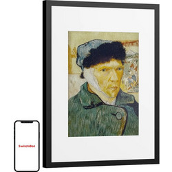 SwitchBot AI Frame Art 13