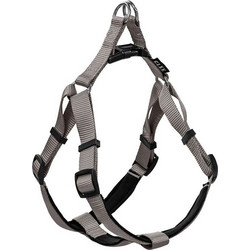 Glee Neoprene Σαμαράκι Σκύλου Ιμάντας Γκρι Small