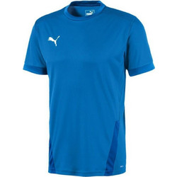 Puma Teamgoal 23 Ανδρικό Αθλητικό T-Shirt Μπλε 704171-02