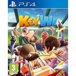 KeyWe Used PS4