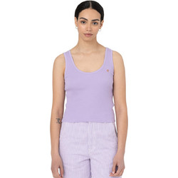 Dickies Γυναικείο Καλοκαιρινό Crop Top Ριπ Λιλά DK0A4XB9-E61