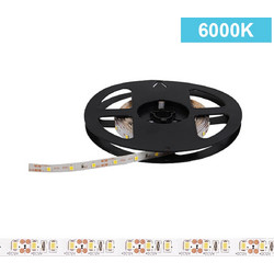 Ταινία LED 12W/m CHIP 2538 120chips/m 6000K (ΨΥΧΡΟ) 1440Lm IP20 12V 5208888003241