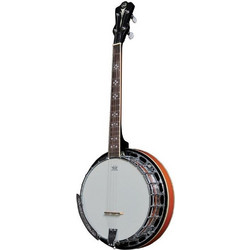 VGS Premium Banjo 4-String