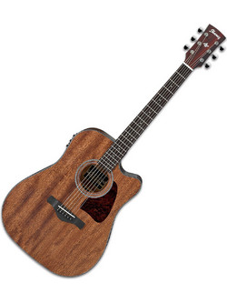 Ibanez AW-54CE Open Pure Natural