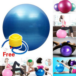 ΦΟΥΣΚΩΤΗ ΜΠΑΛΑ ΓΥΜΝΑΣΤΙΚΗΣ 55cm - GYMNASTIC BALL KING LION