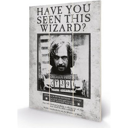 HARRY POTTER - Wood Print 20x29.5 - Sirius Wanted