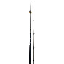 Tradesor 30793 Καλάμι Ψαρέματος Δίσπαστο 2.7m 100-250gr