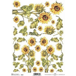 Ριζόχαρτο sunflower 21x29εκ. (ITD-R410)