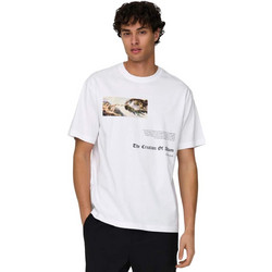 Only & Sons Apoh Life T-Shirt 22028207 - White