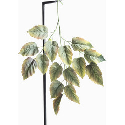 Supergreens Τεχνητό Κλωνάρι Δίχρωμο 76cm 6401-7